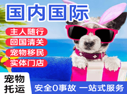 山南隆子空运公司国际宠物托运 【国